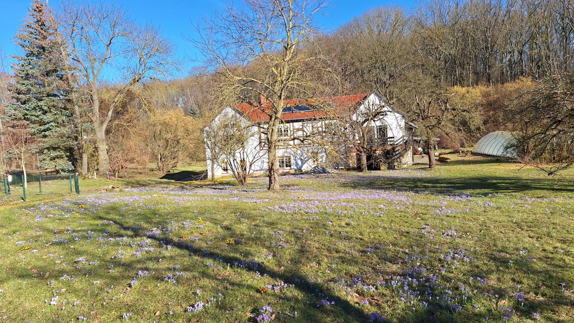 Ferienwohnung Obermuehle Ballstadt Bilik gambar