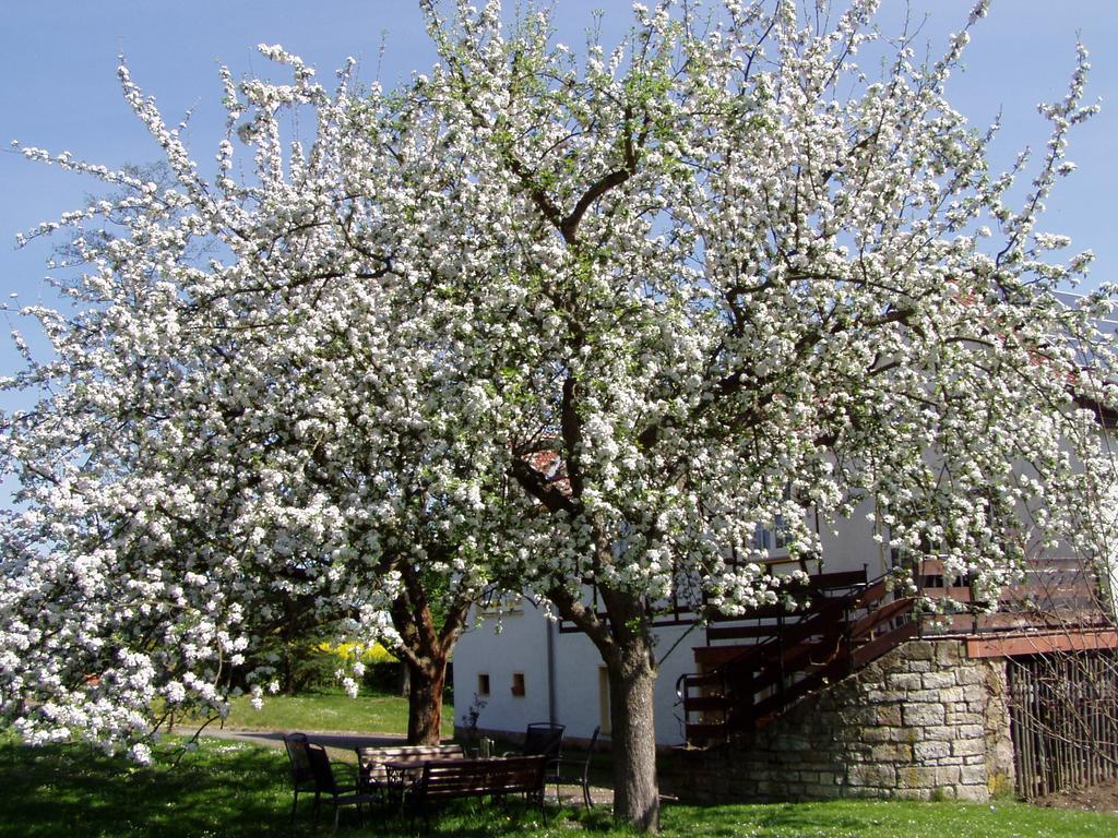 Ferienwohnung Obermuehle Ballstadt Bilik gambar